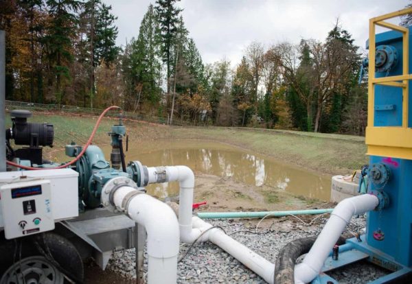 WhatsApp Image 2025-04-06 at 02.45.11_8d802661