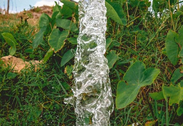 WhatsApp Image 2025-04-06 at 02.45.13_a382ecc6